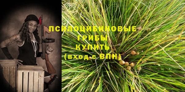 шишки Лихославль